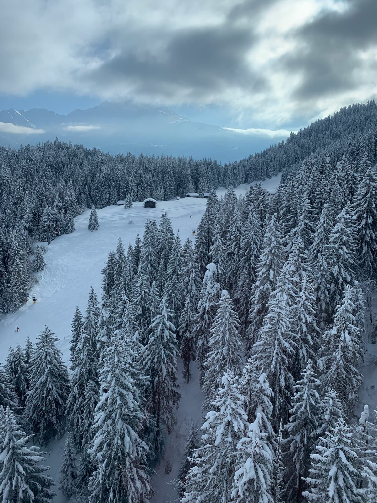 Laax