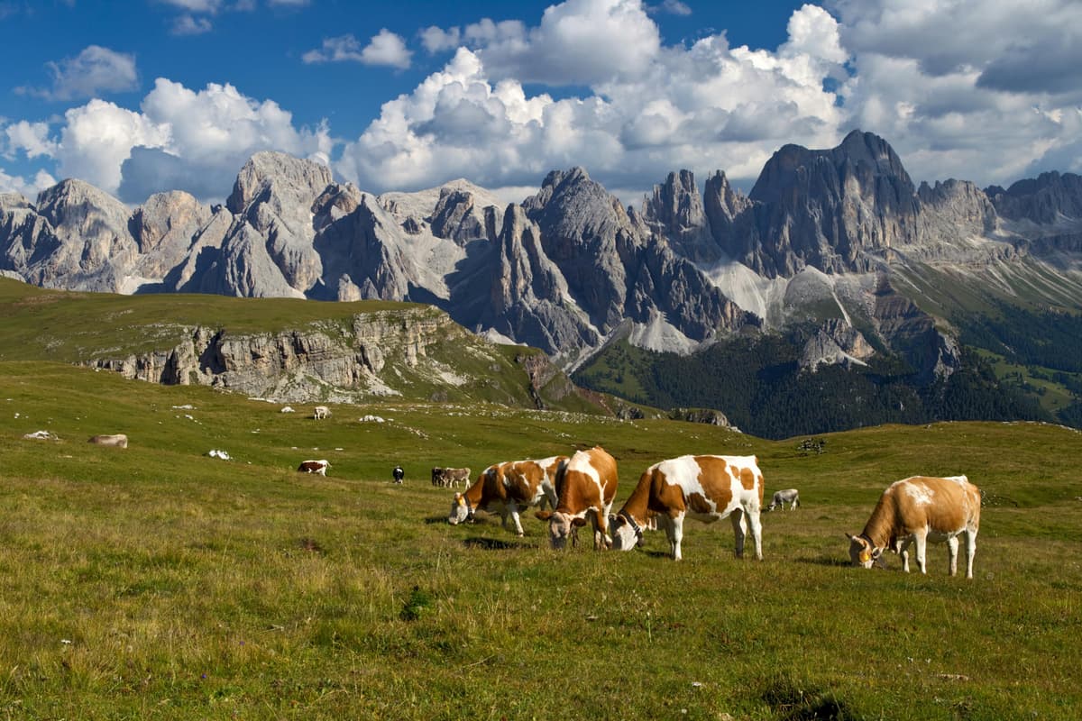 Val Gardena